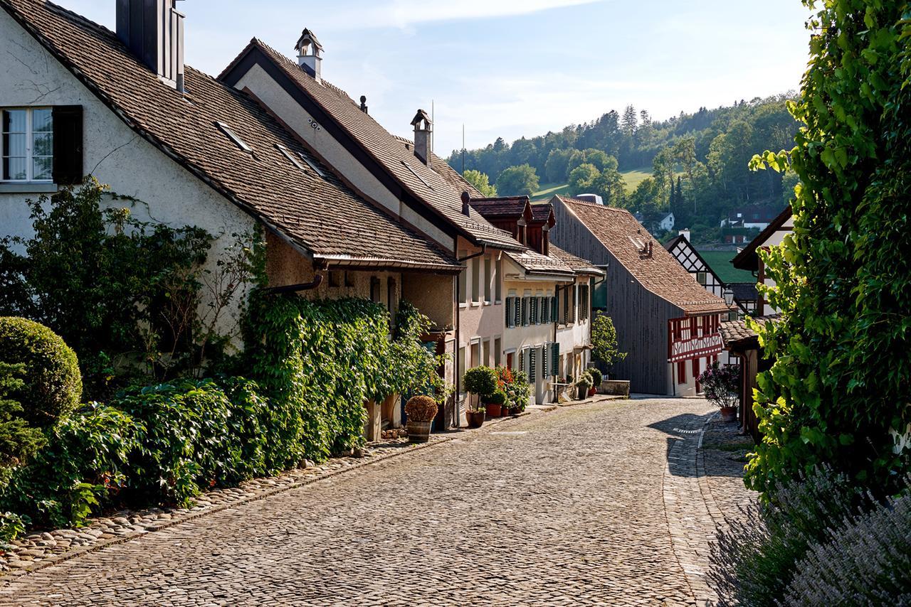 Hotel Krone Regensberg Bagian luar foto